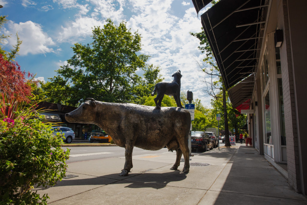 bronze cow statue in Kirkland boardwalk neighborhood